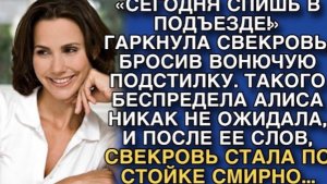 СЕГОДНЯ СПИШЬ В ПОДЪЕЗДЕ!» ГАРКНУЛА СВЕКРОВЬ, БРОСИВ ВОНЮЧУЮ ПОДСТИЛКУ!