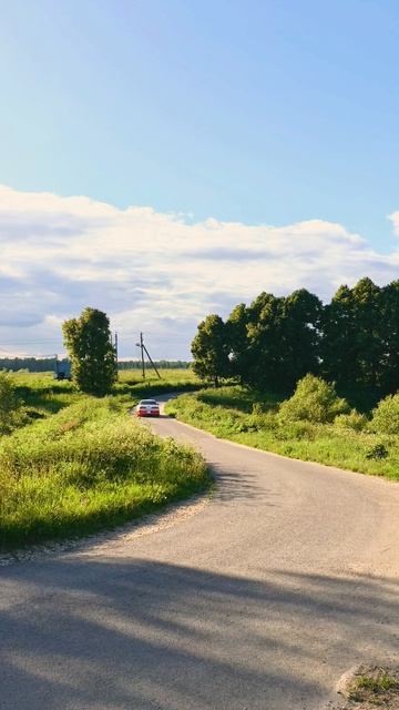 Toyota Mark II JZX100 уезжает в закат #Toyota #Mark2 #JDM #Forest #Drift #Natural #Stance