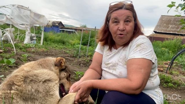 Приставы сняли арест с моего имущества и вернули мне смотреть онлайн
