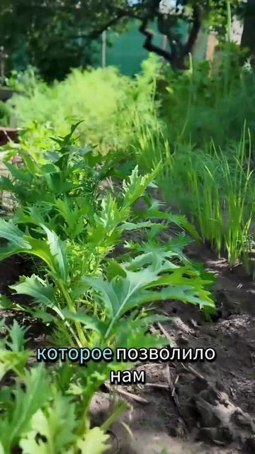 Природа берёт своё как погодные условия влияют на урожай и сад