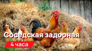 Звуки для соседей - Соседская задорная