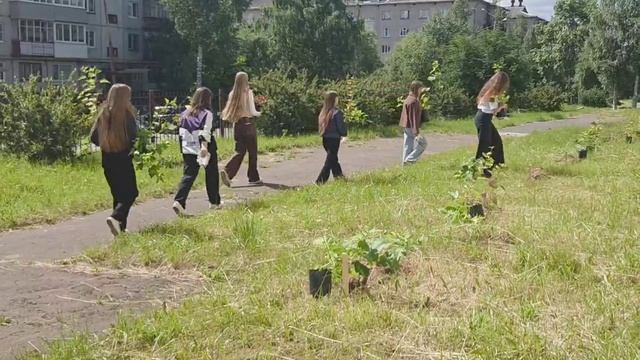 «Аллея выпускников» 🌳 сегодня появилась на территориях школ Новодвинска.