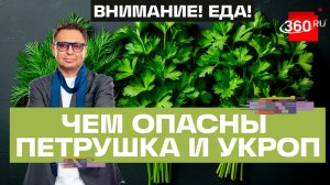 Внимание! Еда! Беспалов. Петрушка и укроп. Зеленое — значит полезное?