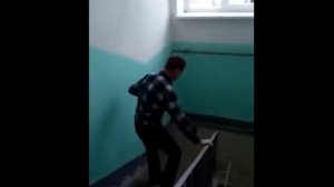 🔴Трясогузка. Много не пейте 🍾 дамы и господа.🤭🔴