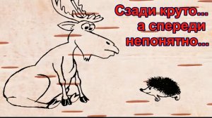 Смешные анекдоты о немом лыжнике, лосе с ёжиком и блондинках.