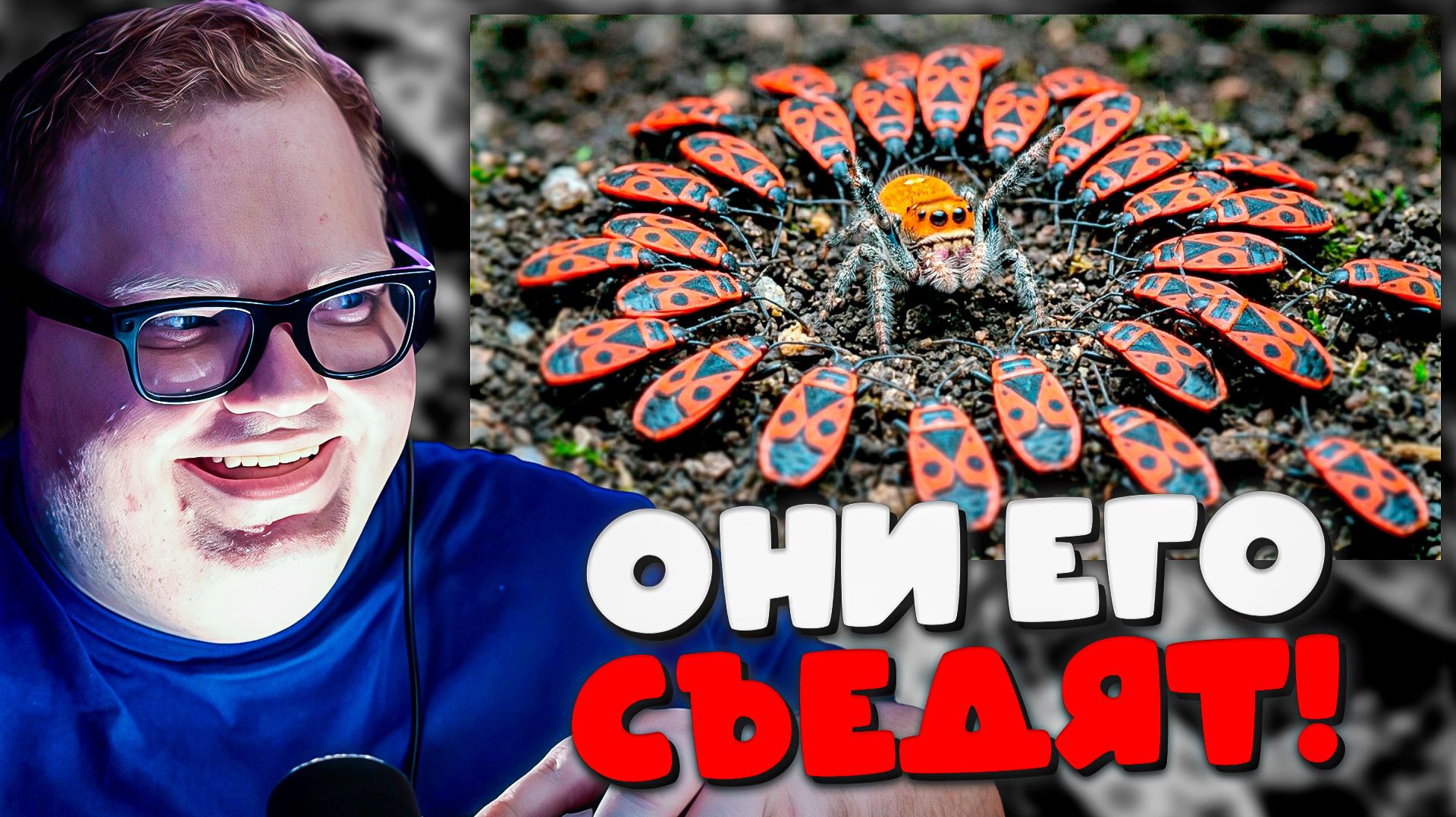 T2x2 РЕАКЦИЯ НА САМУЮ ЖЕСТОКУЮ БИТВУ! 🕷️ Паук Родриго против диких насекомых от SlivkiShow! смотреть онлайн