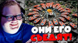 T2x2 РЕАКЦИЯ НА САМУЮ ЖЕСТОКУЮ БИТВУ! 🕷️ Паук Родриго против диких насекомых от SlivkiShow!