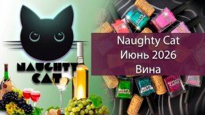 Naughty cat Вина | Июнь 2026 — обзор обычных лаков
