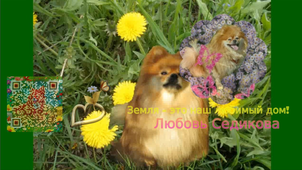 Подписка на мой канал Земля это наш любимый дом! # 10 смотреть онлайн