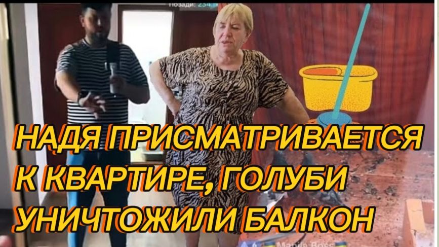 САМВЕЛ АДАМЯН, НАДЯ ПРИСМАТРИВАЕТСЯ К КВАРТИРЕ, КОЛЯ РАСХВАЛИВАЕТ КУХНЮ, ГОЛУБИ УНИЧТОЖИЛИ БАЛКОН.. смотреть онлайн