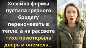 Приютила бродягу, а он оказался | Истории из жизни