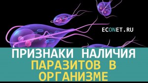 Признаки наличия паразитов в организме и что делать | ECONET.RU