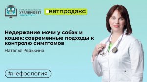 Недержание мочи у собак и кошек: современные подходы к контролю симптомов. Лектор Наталья Редькина