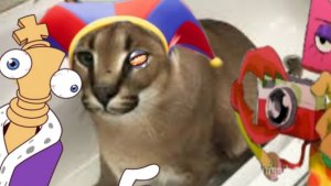 Нахожу морфы флопы