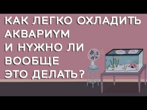 Охлаждение аквариума. Как понизить температуру воды в аквариуме?