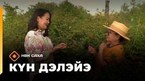 «Күн дэлэйэ» (27.06.26)