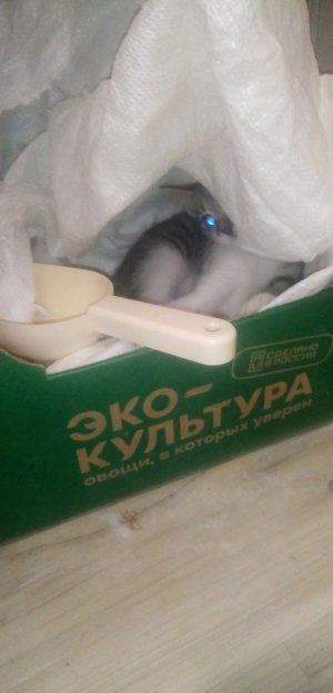 Тайная комната🤫