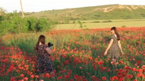 фотосессия в маках