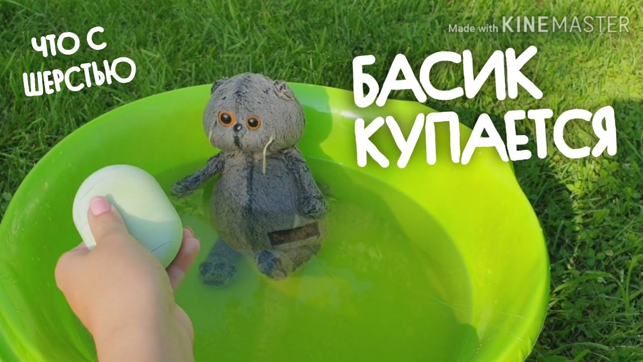БАСИК КУПАЕТСЯ|что с шерстью?|Как помыть Басика?|Basik TV смотреть онлайн