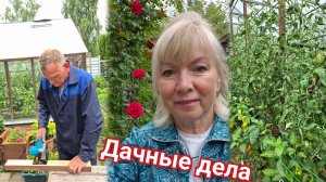 Дачные дела Это надо срочно сделать! Что муж задумал построить Супер-пила  Обкорнала томаты