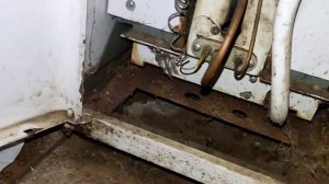 газовый котел Житомир 3 чистка