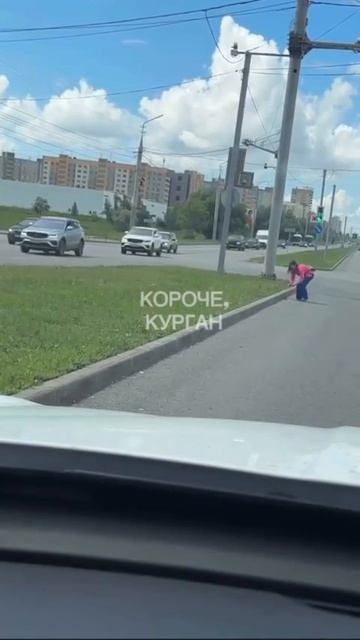 В Заозёрном девушка спасла утят на дороге