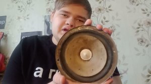 Всё про виды динамиков. И какие выбирать для самодельных колонок часть 2?