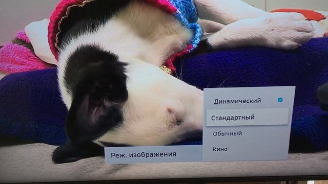 Samsung UE43RU7400 прошло 3 года и сломался!!! смотреть онлайн