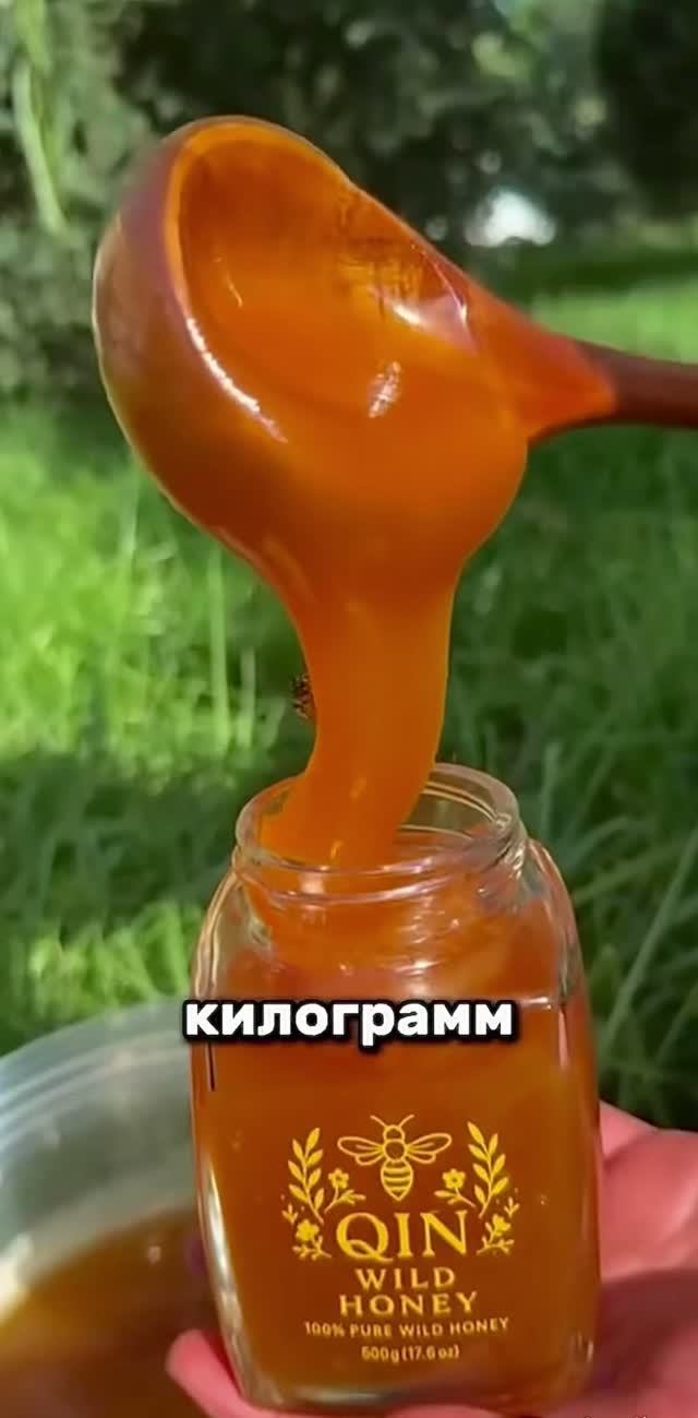 ТОР 5 самый дорогой мед в мире 🍯