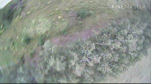 Сравнение битого Монстра Про 1.8 1200 твл и Воробей 2.1 700 твл