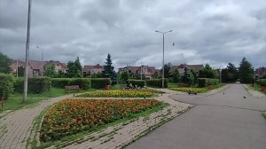 Готовлю/Цветы/Чайки/Город в пасмурный день