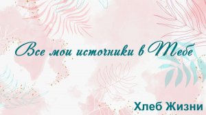 Все мои источники в Тебе Хлеб Жизни