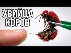 Самое Опасное Насекомое В Мире