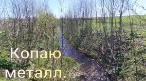 Копаю металл №2