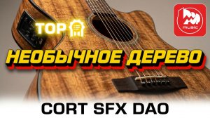 CORT SFX DAO - доступная электроакустическая гитара
