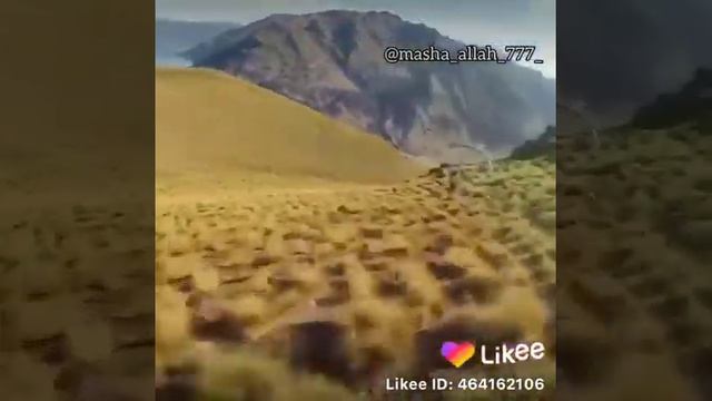 Максад сари олга смотреть онлайн