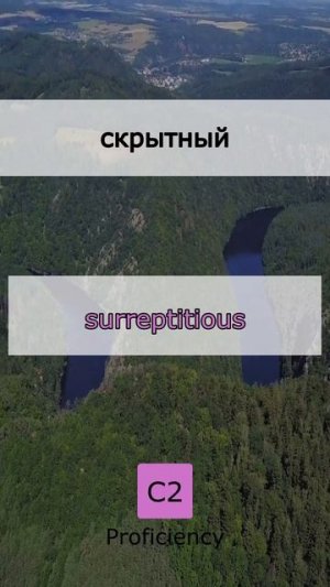 учим новые слова на английском языке