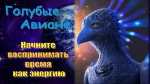 🌌 Голубые Авиане: Время реагирует на сознание