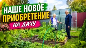 Давно хотели это купить! Новая подпора для огурцов