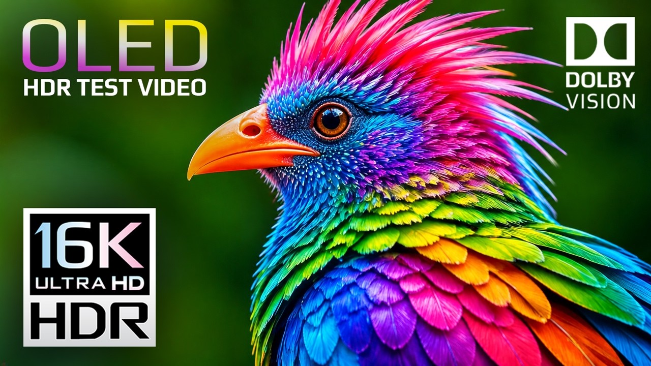 Ultra Massive Details OLED HDR TEST Nature Video | 16K HDR Dolby Vision 240FPS (8K 4K Video TV) смотреть онлайн