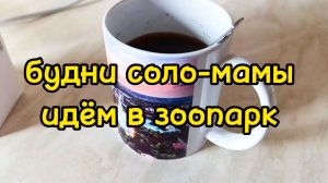 ИДЕМ В МОСКОВСКИЙ ЗООПАРК