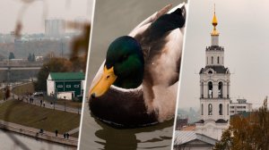 Canon 75-300mm / f4-5.6  POV Street Photography