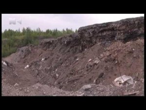 В Митино подросток лишился руки из-за взрыва регенеративного патрона
