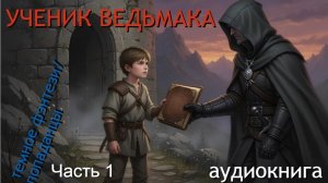 Аудиокнига  ТЕМНОЕ ФЭНТЕЗИ / ПОПАДАНЦЫ: УЧЕНИК ВЕДЬМАКА. Ч.1