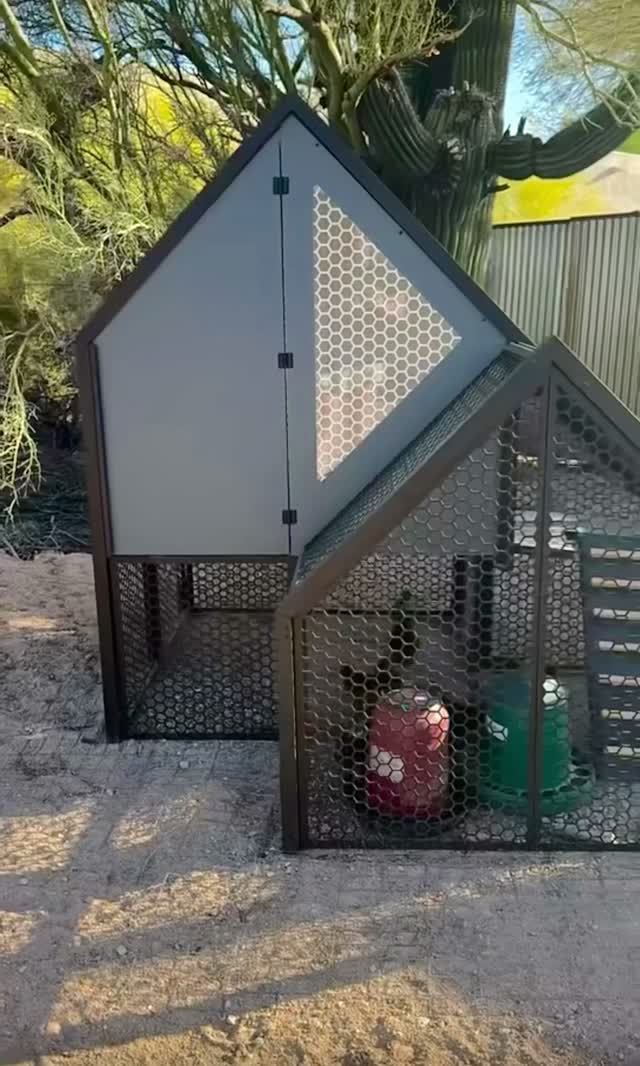 Современный мини курятник 🐓