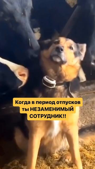 Очень жизненнр смотреть онлайн