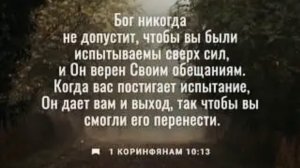 🕊️