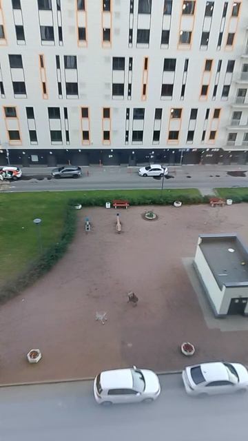 наблюдение за другими людьми часть 1