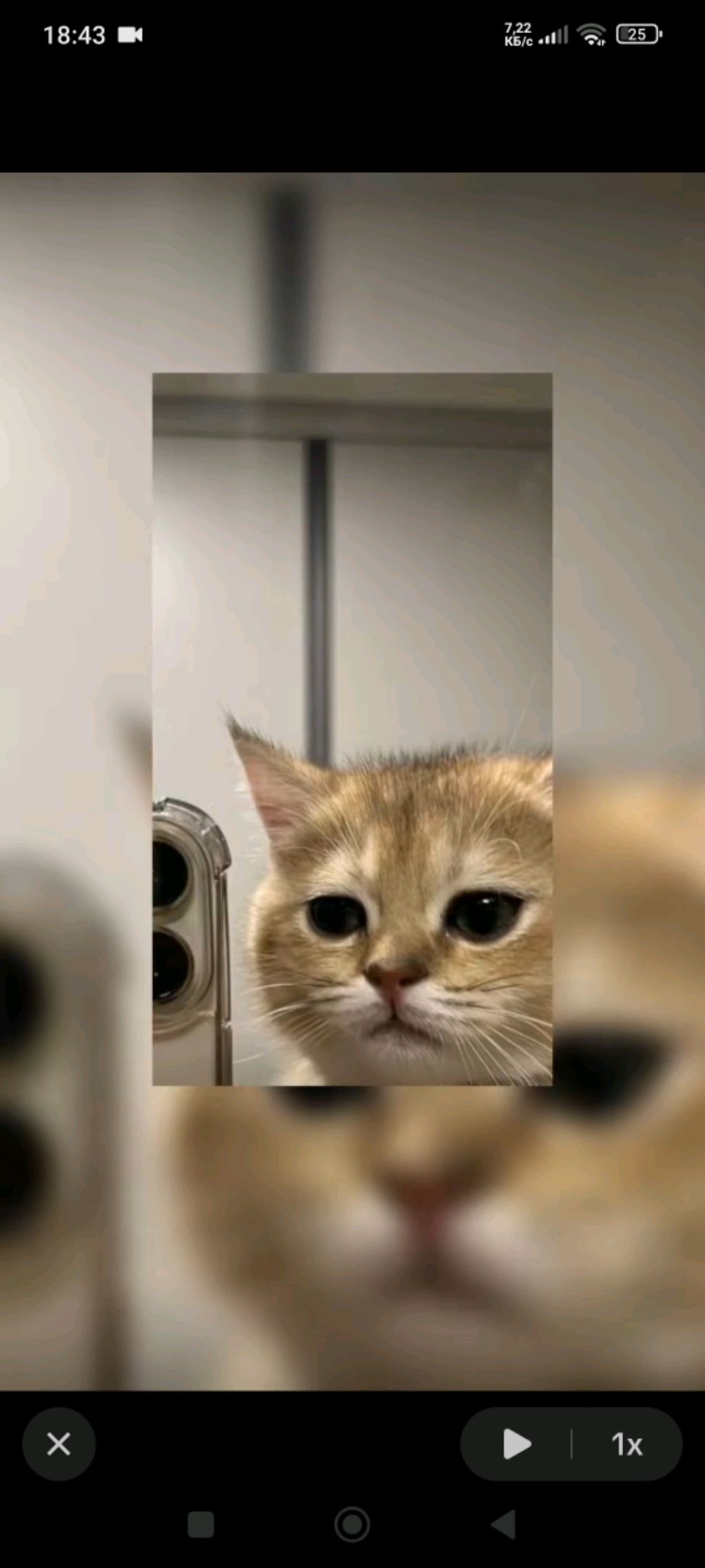 Ъуъ смотреть онлайн