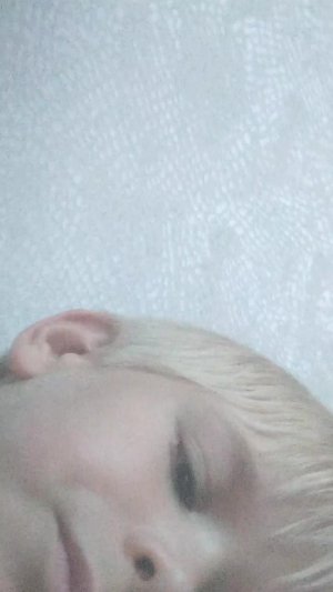 чебуреки захватили мир
